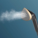 Philips STE3170/80 kledingstomer 2L 2000W 40g/min